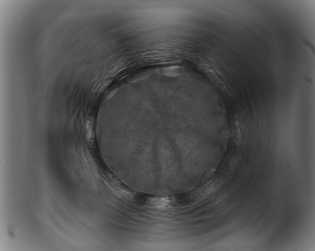 X0000100970131200806241600