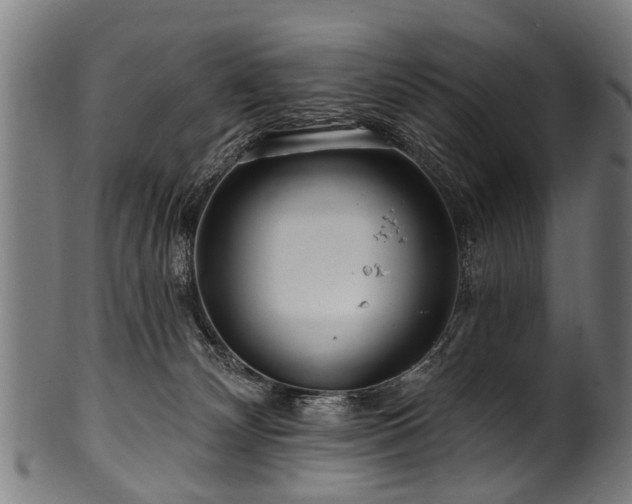 X0000100970132200806241600