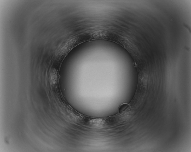 X0000100970133200806241600