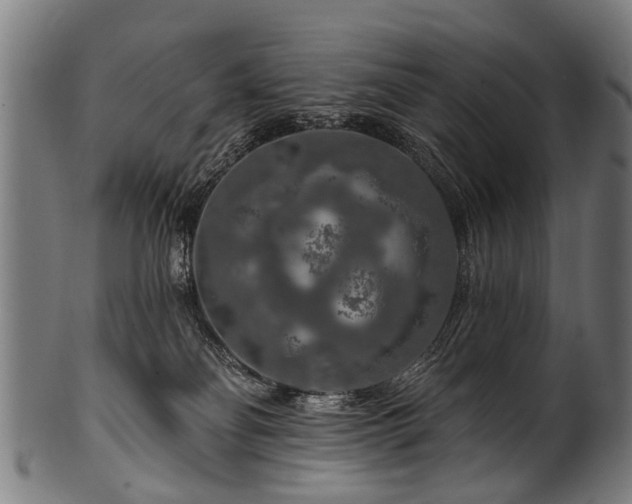 X0000100970134200806241600