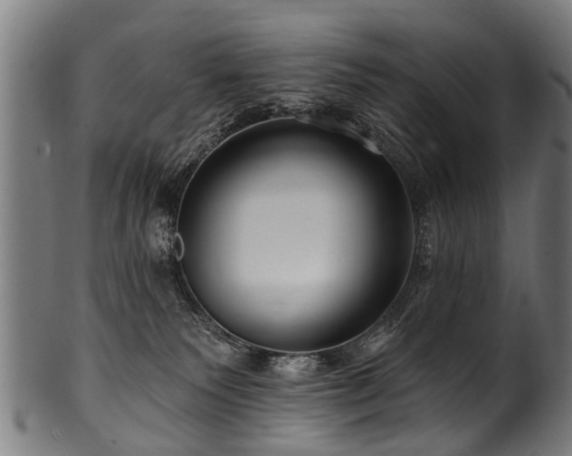 X0000100970135200806241600