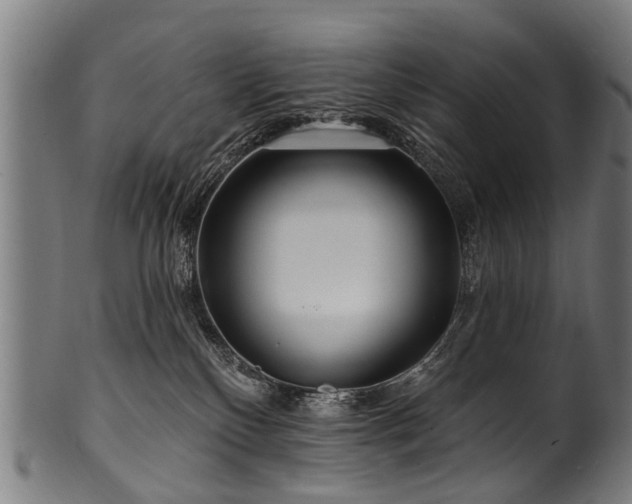 X0000100970136200806241600