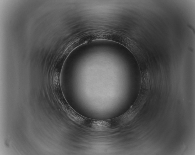 X0000100970137200806241600