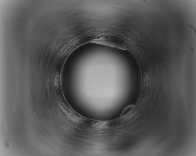 X0000100970138200806241600