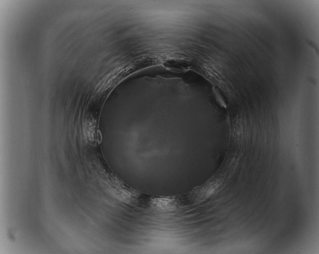 X0000100970139200806241600