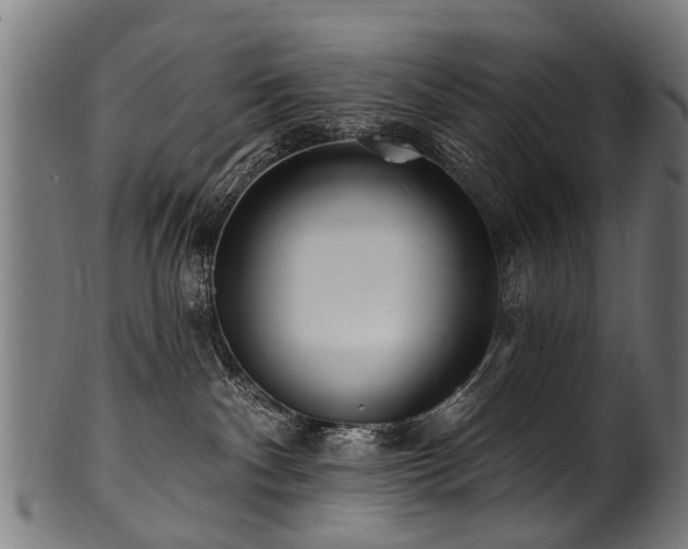 X0000100970140200806241600