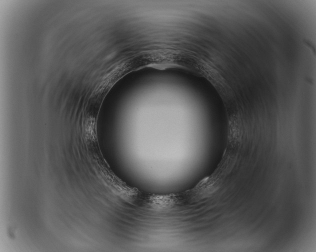 X0000100970141200806241600