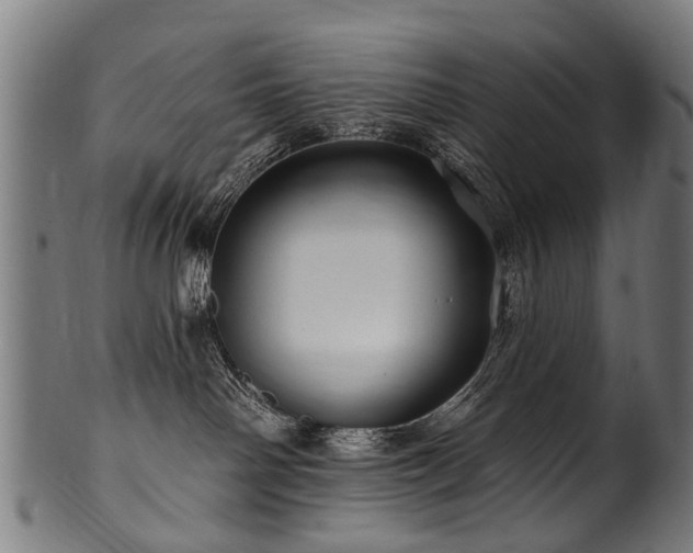 X0000100970142200806241600