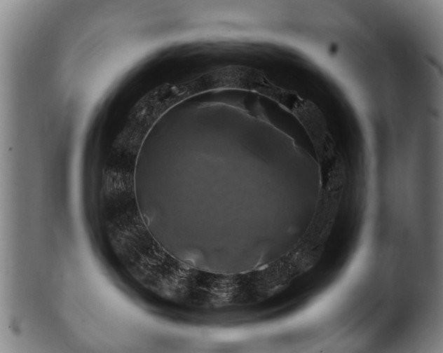 X0000100970143200806241600
