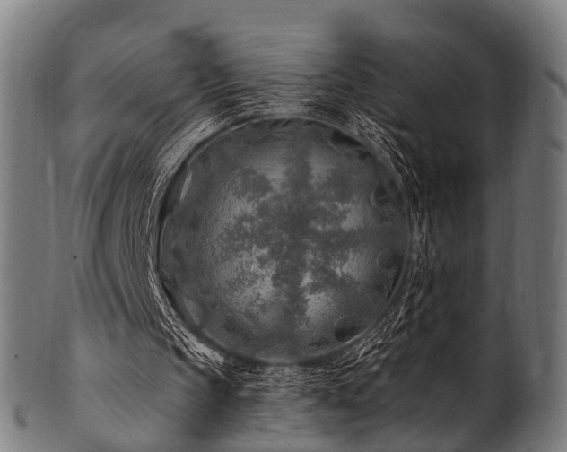 X0000100970145200806241559