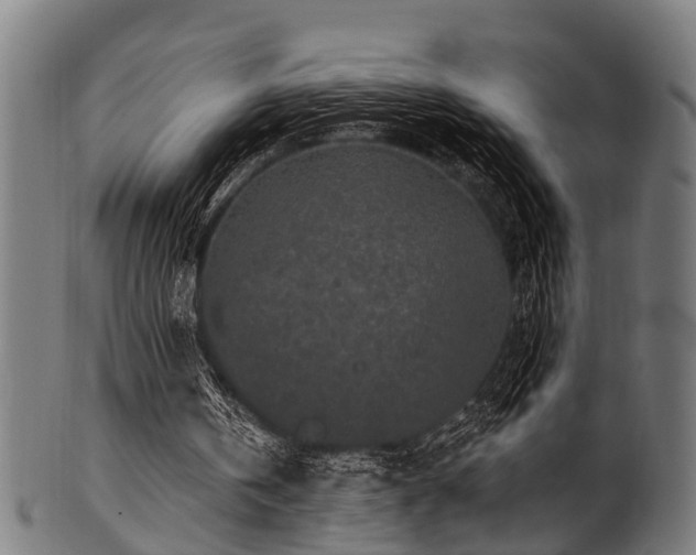 X0000100970146200806241559