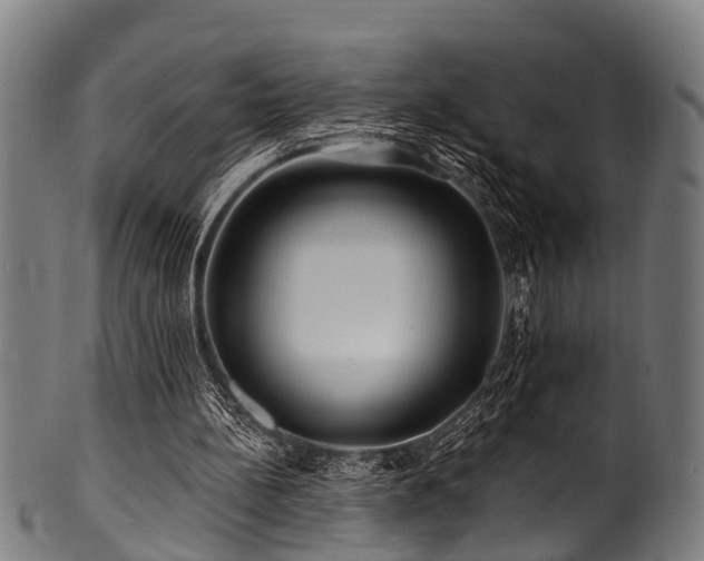 X0000100970148200806241559