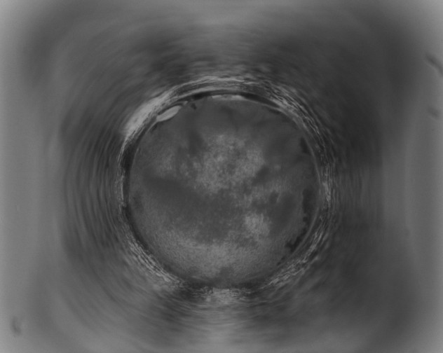 X0000100970149200806241559