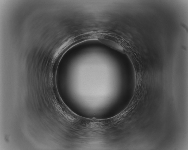 X0000100970150200806241559