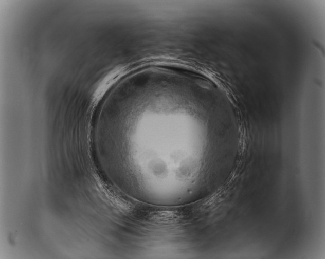 X0000100970151200806241559