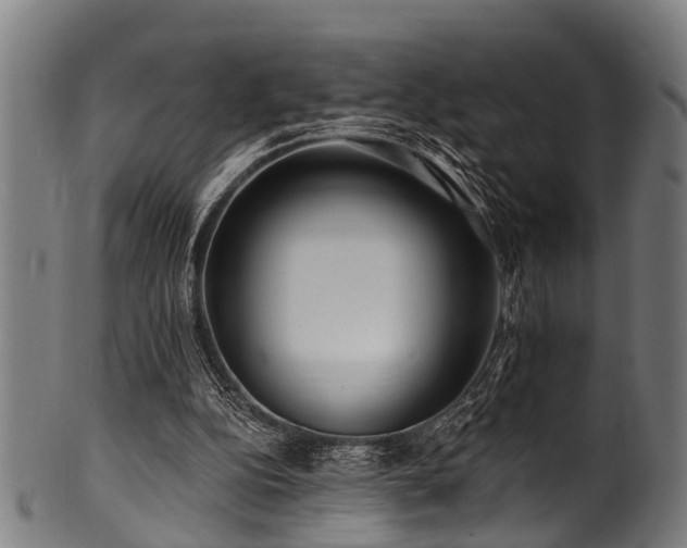 X0000100970152200806241559