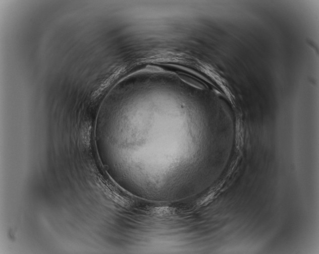 X0000100970153200806241559