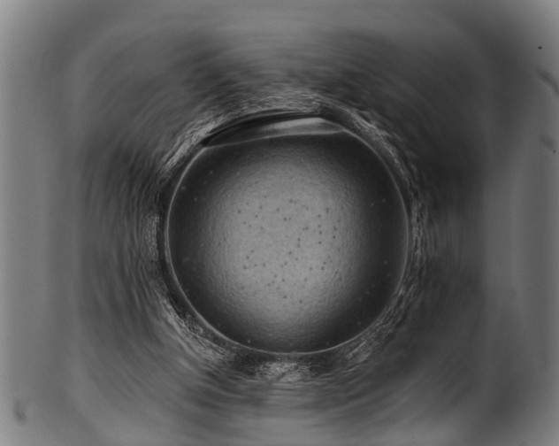 X0000100970154200806241559