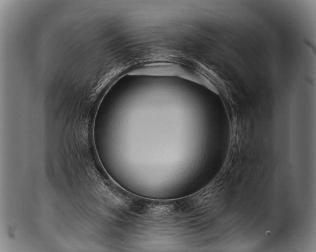 X0000100970155200806241559