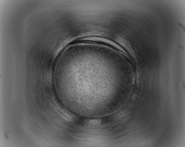 X0000100970156200806241559