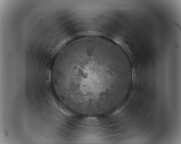 X0000100970157200806241559