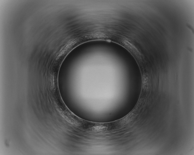 X0000100970158200806241600