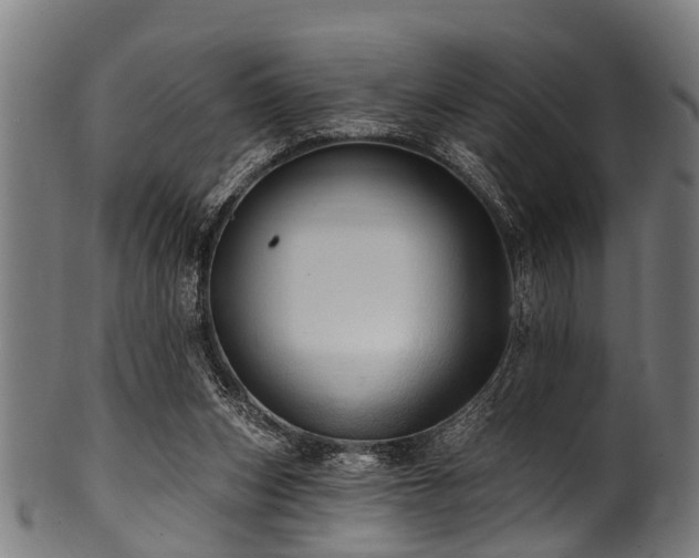 X0000100970159200806241600