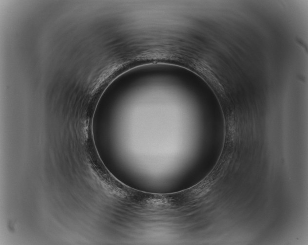 X0000100970160200806241600