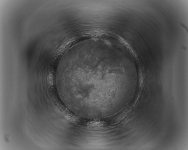 X0000100970161200806241600