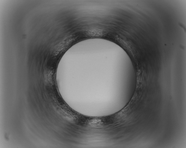 X0000100970162200806241600