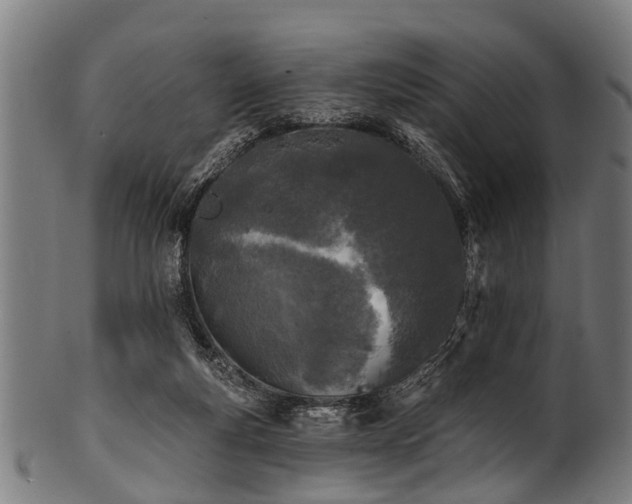 X0000100970163200806241600