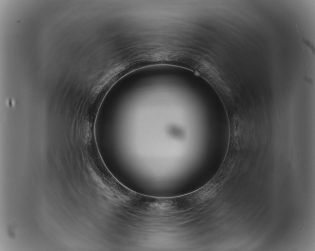 X0000100970164200806241600