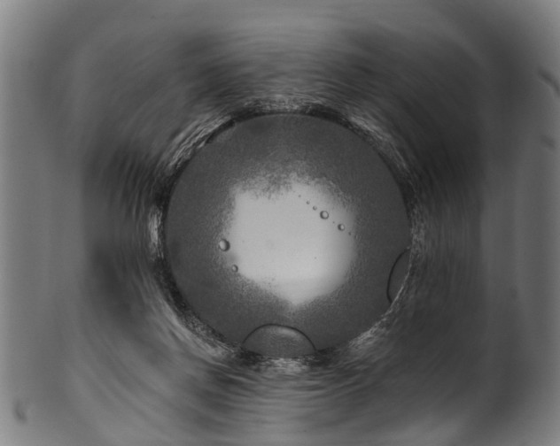 X0000100970166200806241600