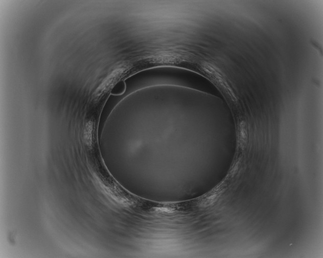 X0000100970167200806241600