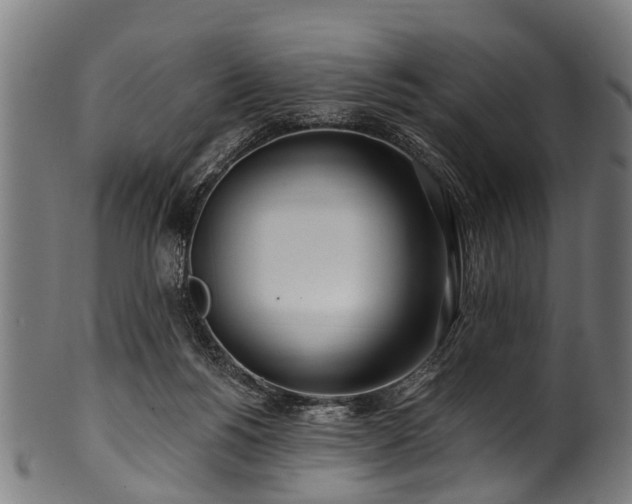 X0000100970168200806241600