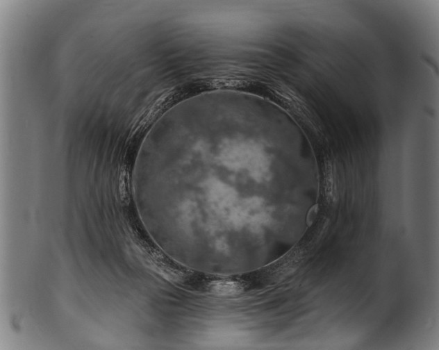 X0000100970169200806241600