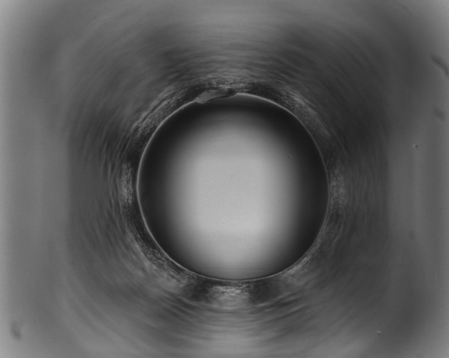 X0000100970170200806241600
