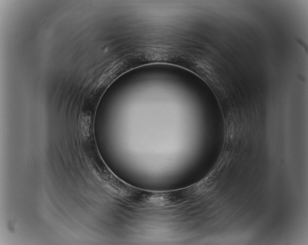 X0000100970171200806241600