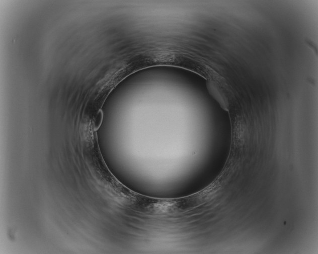 X0000100970172200806241600