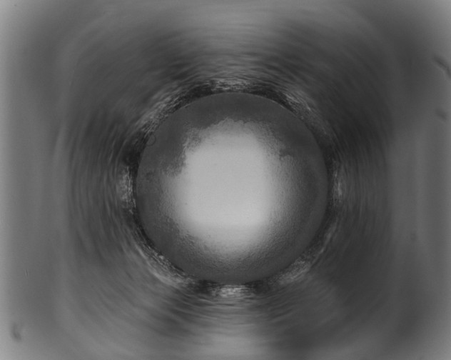 X0000100970173200806241600