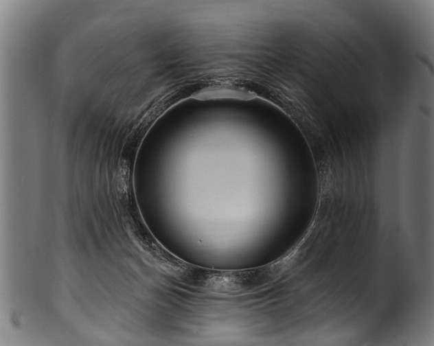 X0000100970174200806241600