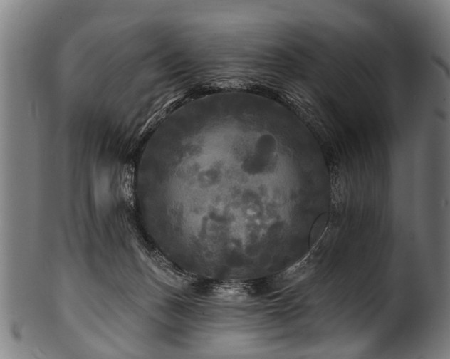 X0000100970175200806241600