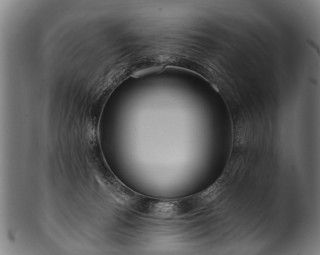X0000100970176200806241600