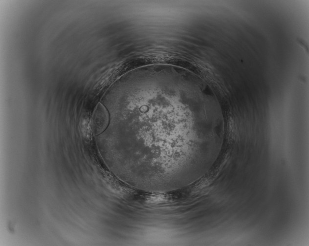 X0000100970177200806241600