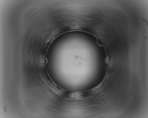 X0000100970179200806241600