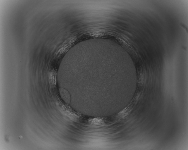 X0000100970180200806241600