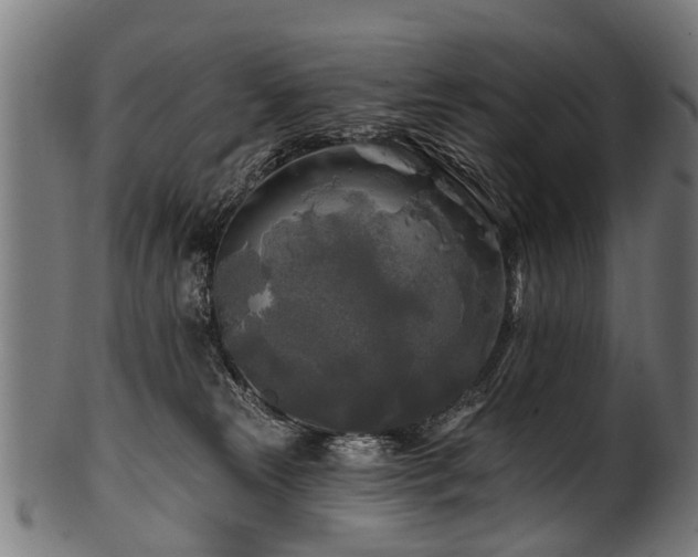 X0000100970181200806241600