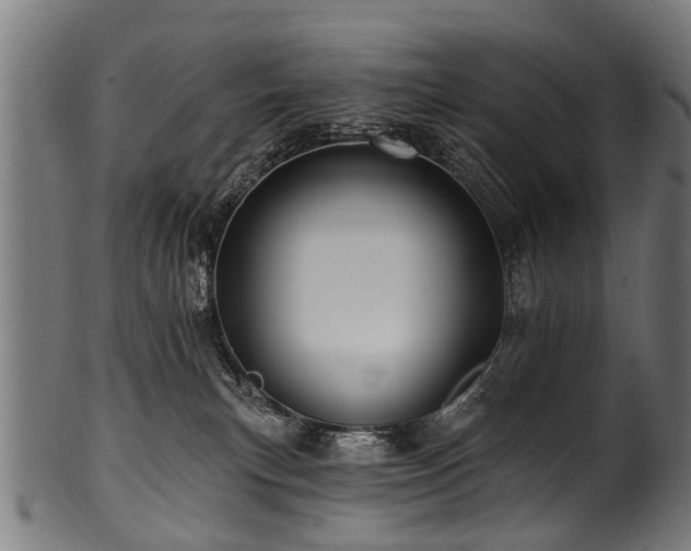 X0000100970183200806241600