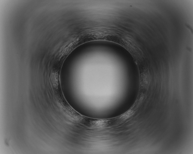 X0000100970184200806241600