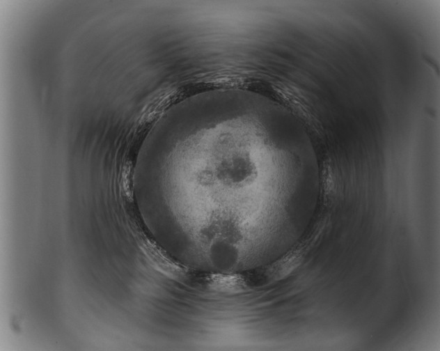 X0000100970185200806241600